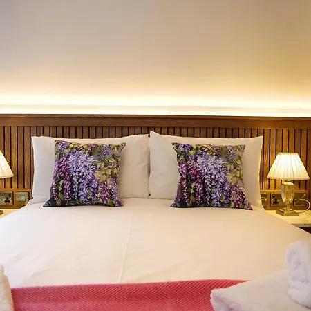 Experience At Main Street - 5 * Dingle